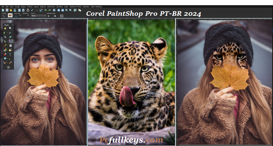 Corel PaintShop Pro Crackeado-Image
